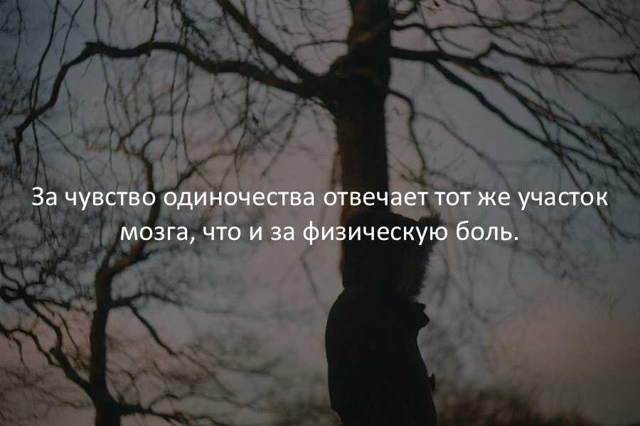 Почему человек замыкается в себе и не хочет ни с кем общаться