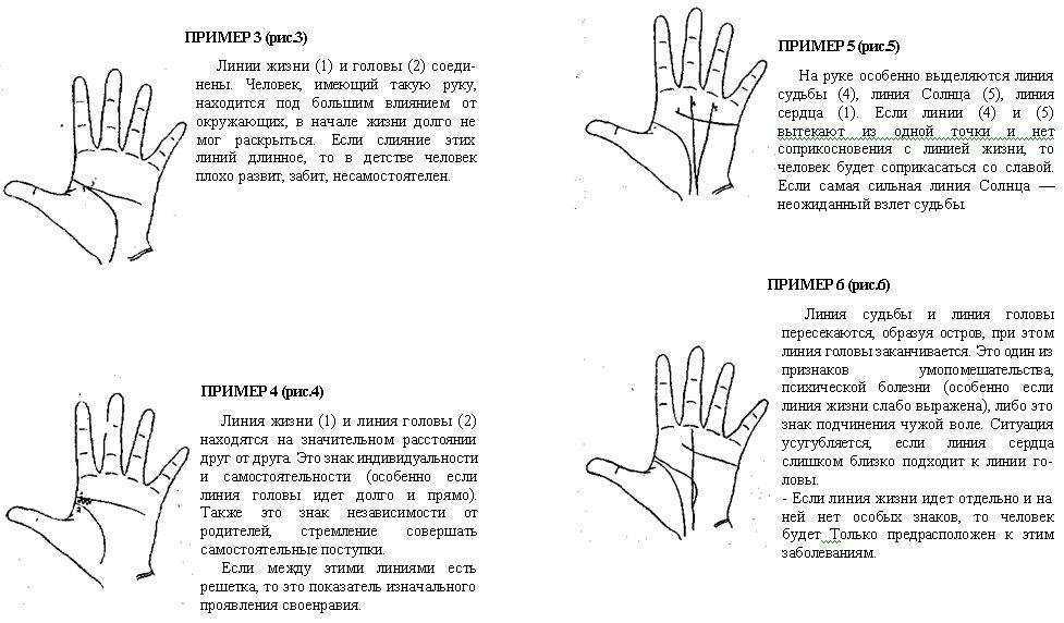 Соедините линии сердца на ладони и узнайте, везет ли вам в любви :: инфониак