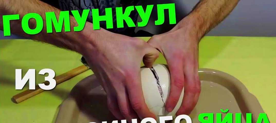 Гомункул из яйца это мифический персонаж или оберег для дома