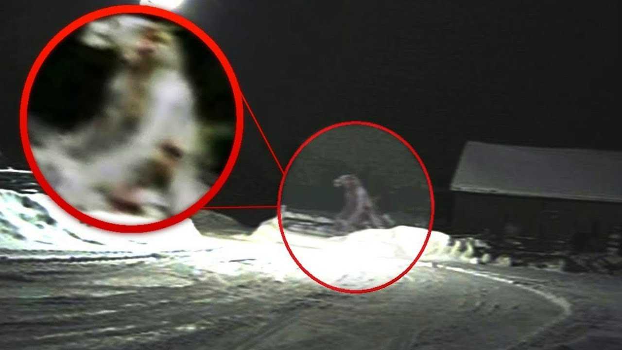 Существуют ли вампиры в наше время (факты, фото, видео, доказательства)