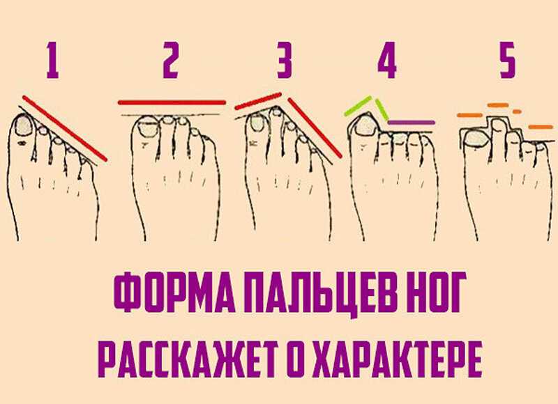 Узнаем характер по пальцам ног — как раскрыть тайны