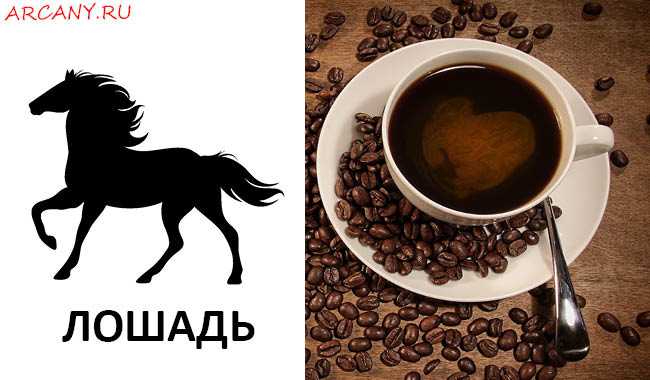 Кофейная гуща толкование символов, как сварить кофе для гадания, как часто можно гадать