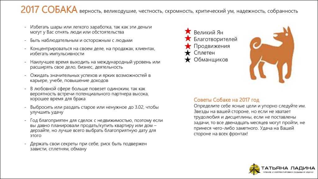 Собака - гороскоп совместимости | совместимость собаки в любовных отношениях
