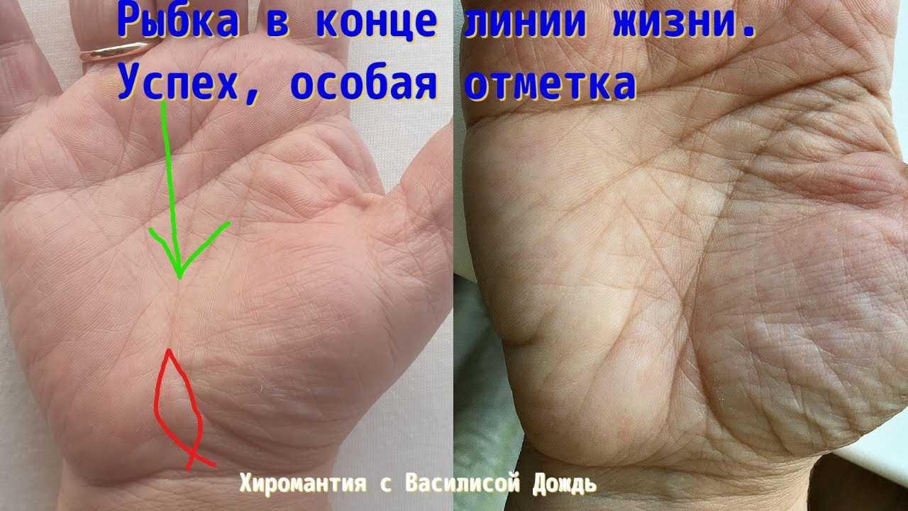 Знак ведьмы на руке – хиромантия