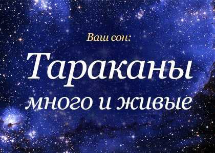 К чему снятся тараканы: убивать их, рыжие и черные насекомые