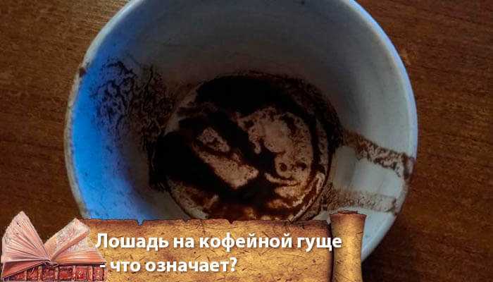 Что значит лошадь выпавшая в гадании на кофейной гуще Гадание на кофе это мистический обряд ставший популярным во времена Петра Первого Во всех