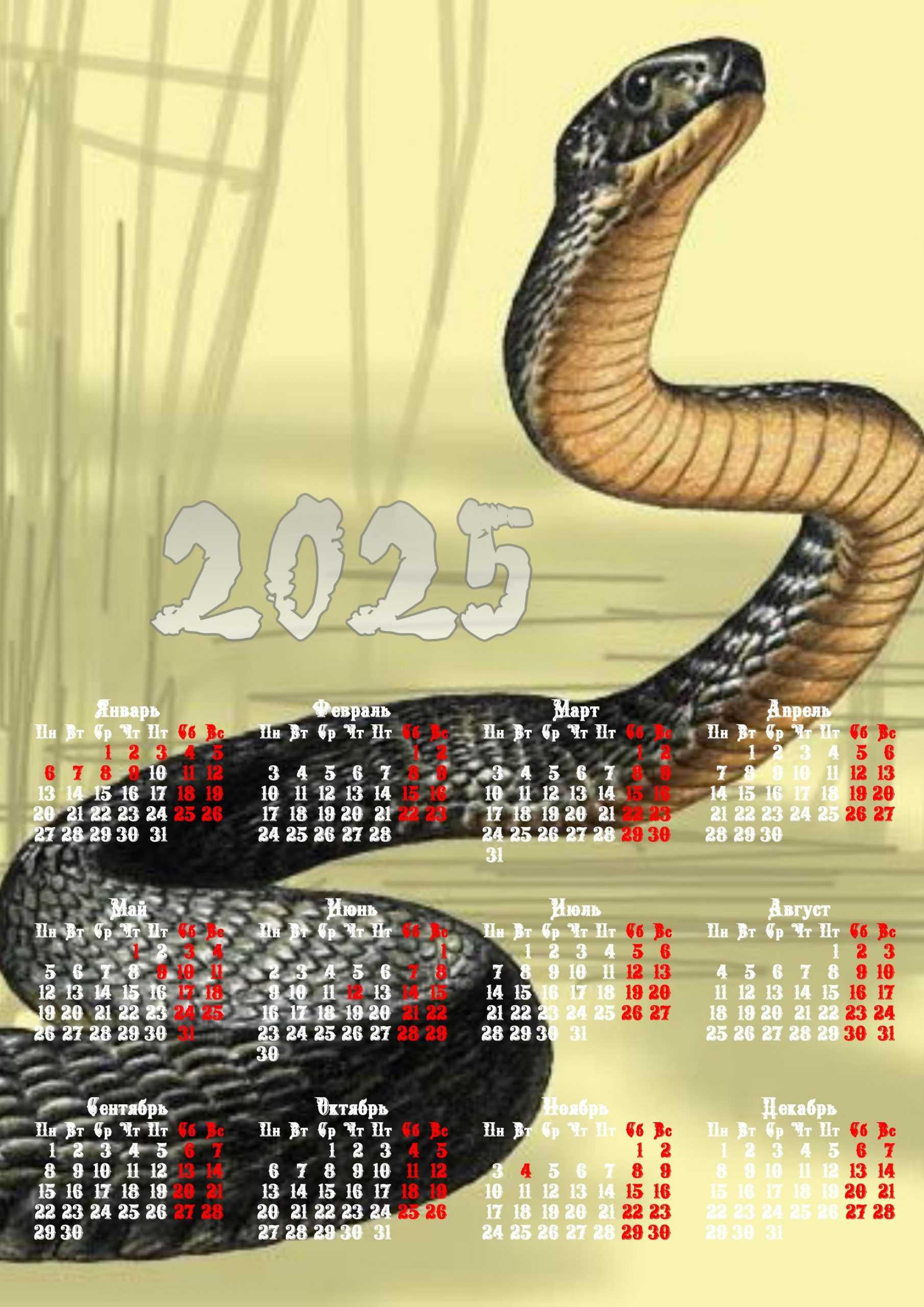 Год змеи