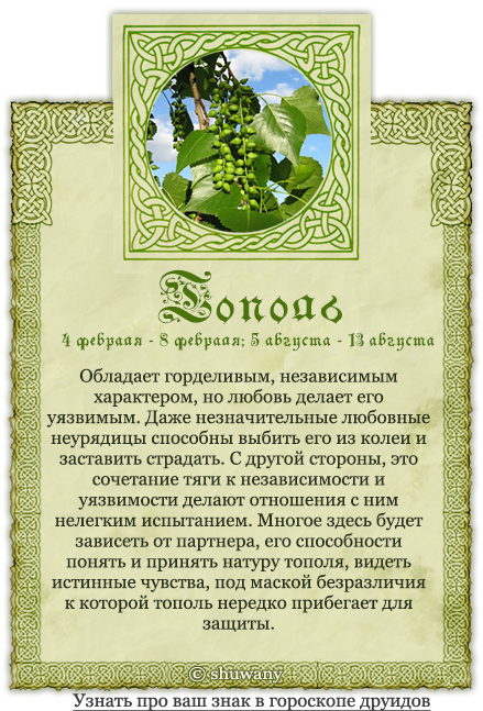 Гороскоп друидов - секрет