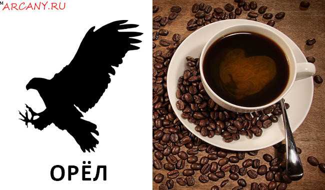 Голубь в гадании на кофейной гуще: значение символа