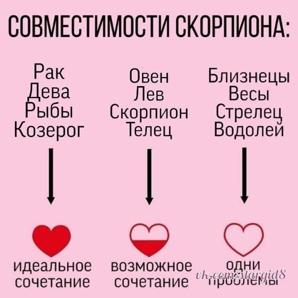Скорпион в дружбе: демон или ангел? - ирина чукреева