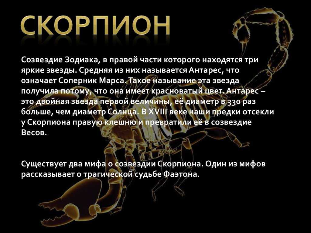 Знак зодиака скорпион