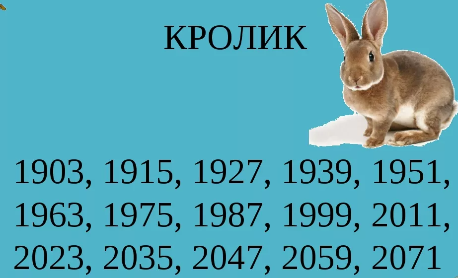Годы кота, или кролика: характеристика по восточному календарю, совместимость в любви и черты характера