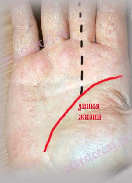 Самые опасные знаки на руке, которые предсказывают несчастья в судьбе