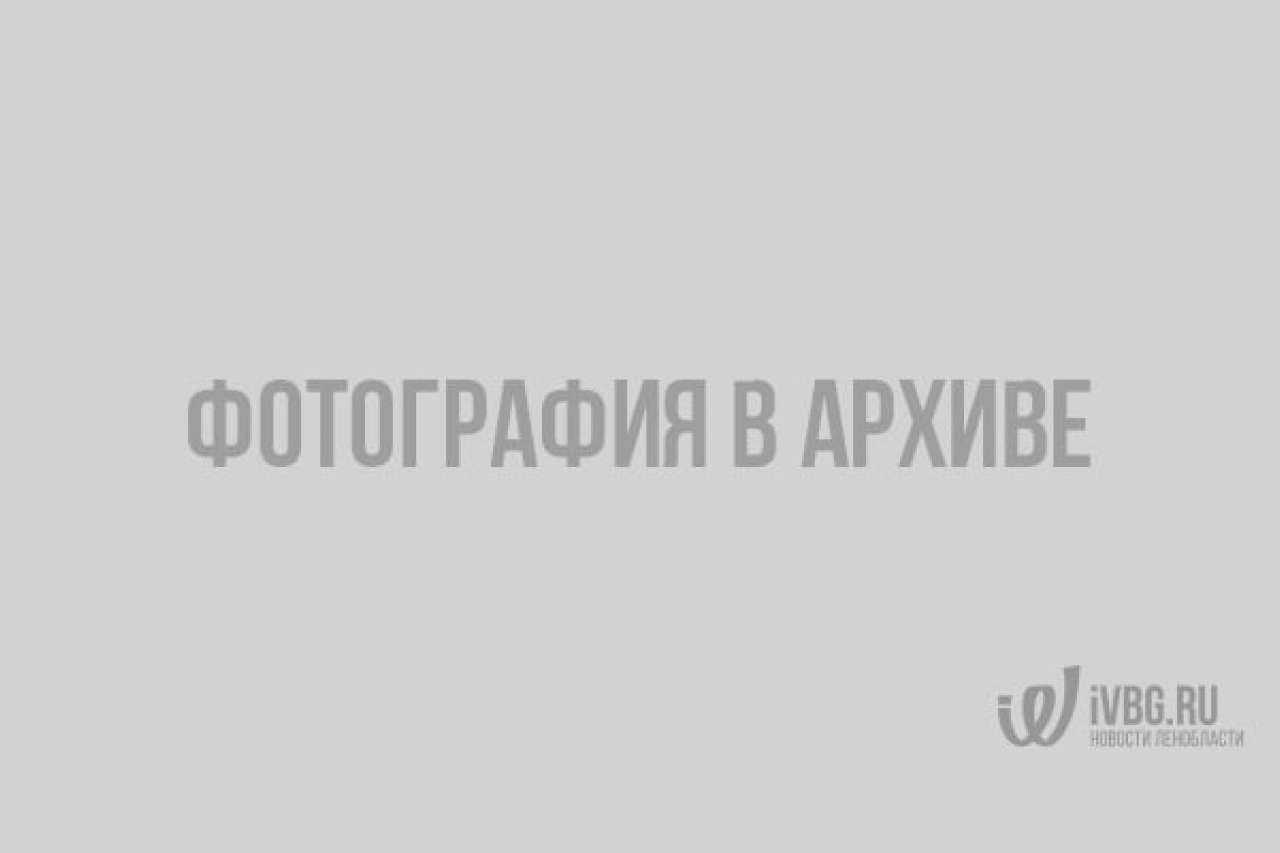Ритуалы в полнолуние: на деньги, на желание, на очищение ауры – космохил