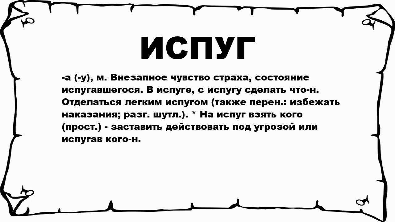 Порча и сглаз на домашних животных. как устранить негатив?