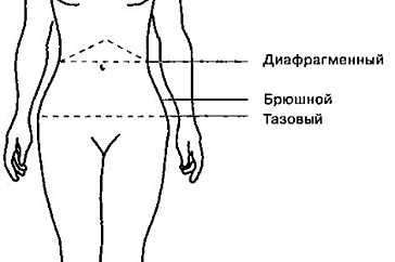 «короб доктора райха» – мистификация, заблуждение или открытие?
