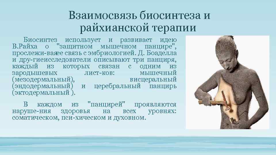 Как сделать камеру райха своими руками: пошаговая инструкция