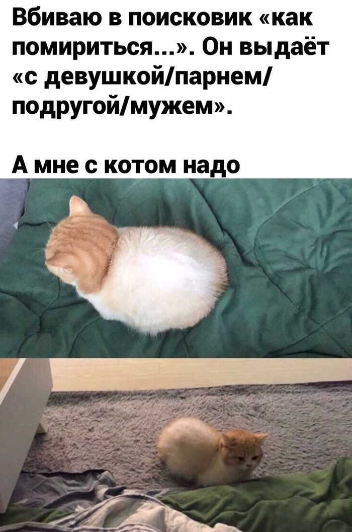 Отношения со львом по гороскопу: ищем пути к примирению