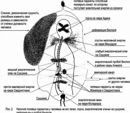 Характерные симптомы подселения сущности в человека апатия изменение поведения агрессия склонность к порокам Подселенцы опасны Жертва может изгнать их самостоятельно или с помощью мага