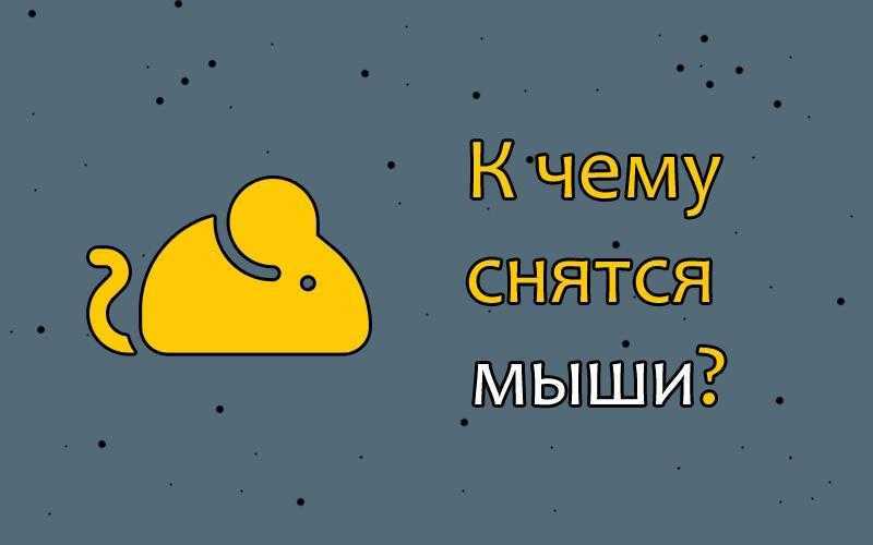 К чему снятся крысы: значение и самое полное толкование сновидения по соннику