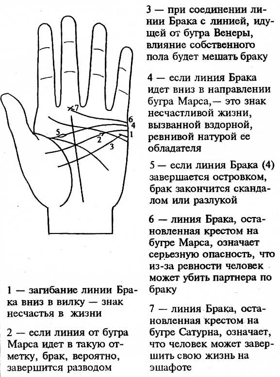 Линия Черной Вдовы на ладони разновидность брачной отметки на правой руке От других линий брака она отличается формой кончик резко загибается вниз Линия предупреждает о возможной потере избранника