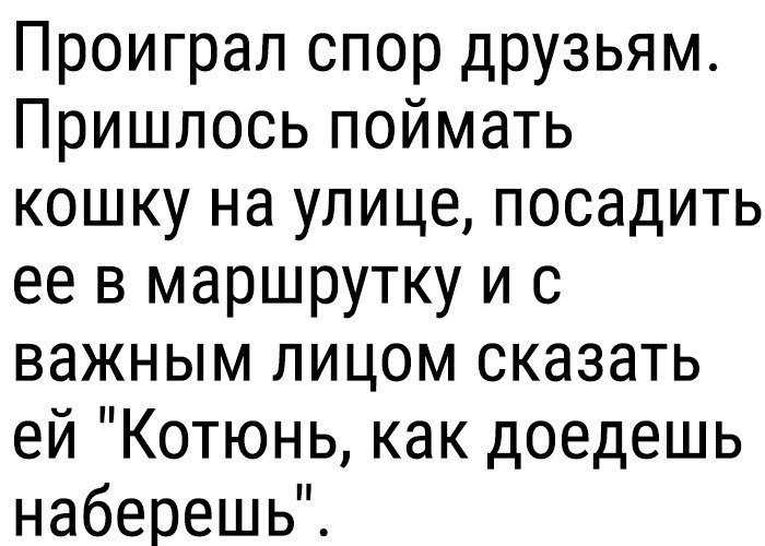 Какое желание можно загадать другу по переписке?