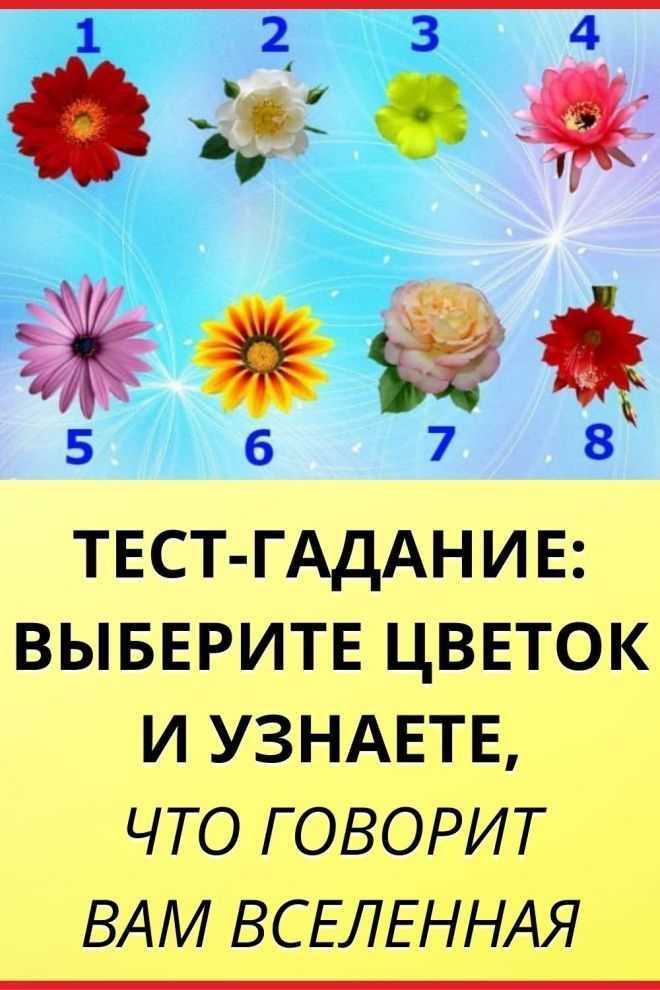 Как гадать цветах на жениха