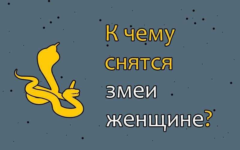 К чему может сниться змея — что значит такое событие согласно соннику?