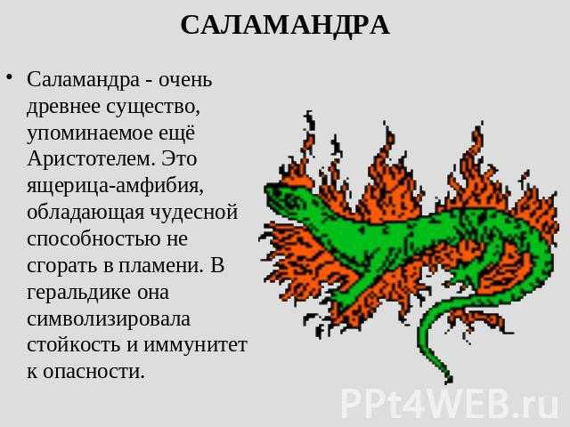 Что собой представляет символ знания и мудрости?