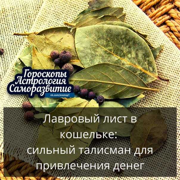 Лавровый лист для привлечения денег в кошельке