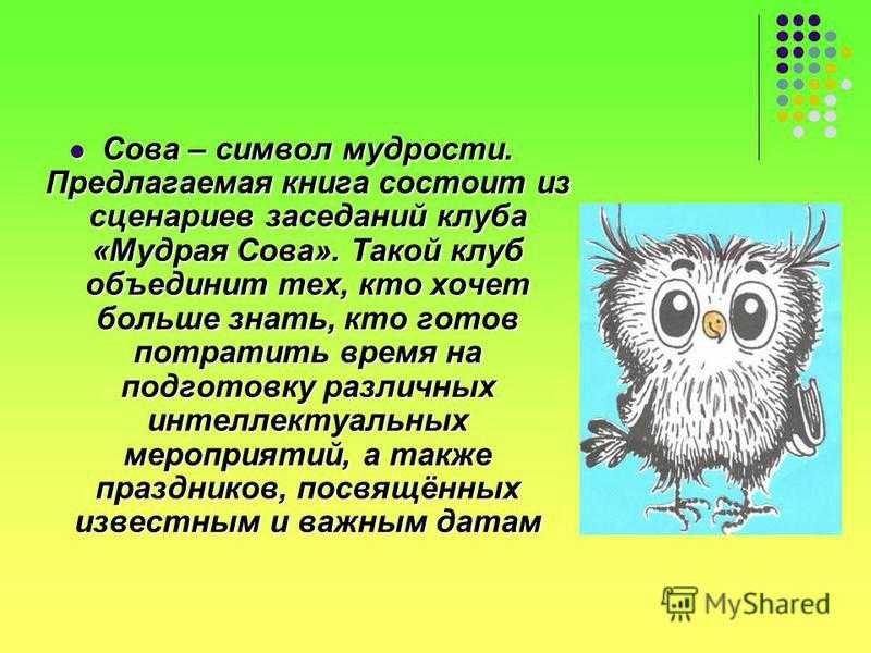 Что символизирует сова в разных культурах: особенности талисмана с птицей