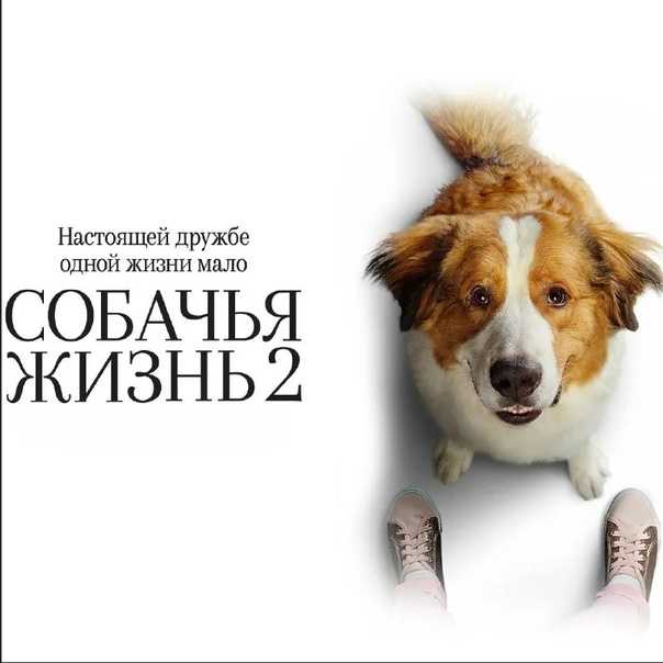 Правила выполнения заговоров для улучшения памяти