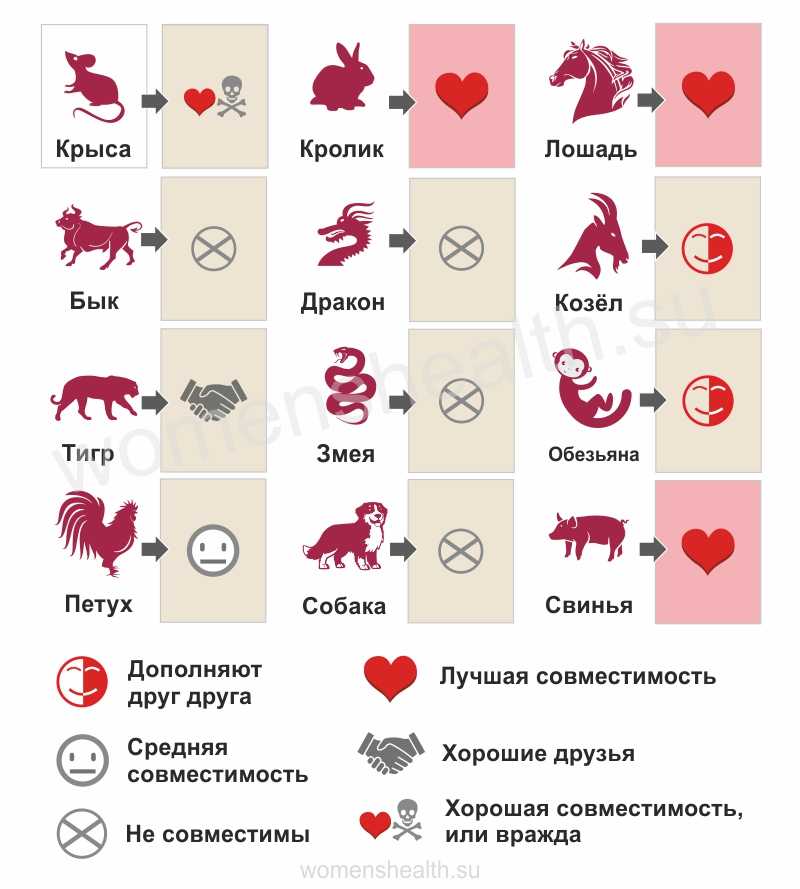 Совместимость по году рождения – гороскоп совместимости знаков зодиака по году рождения