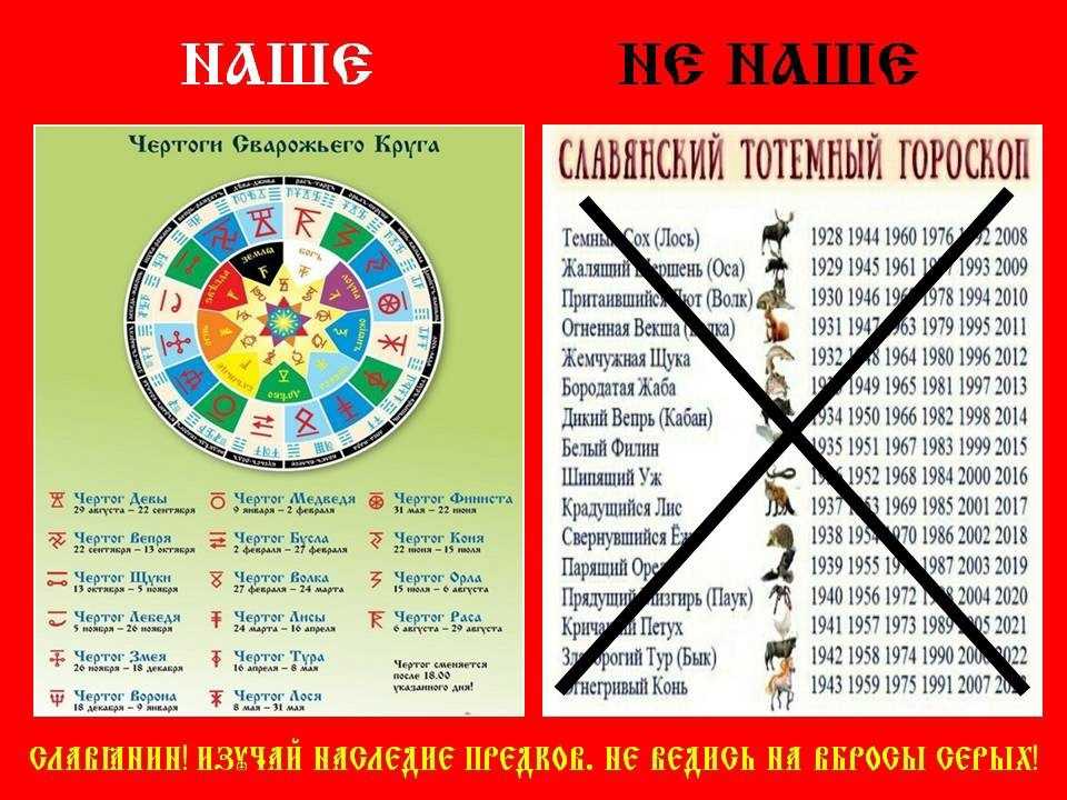 Славянский календарь животных по годам