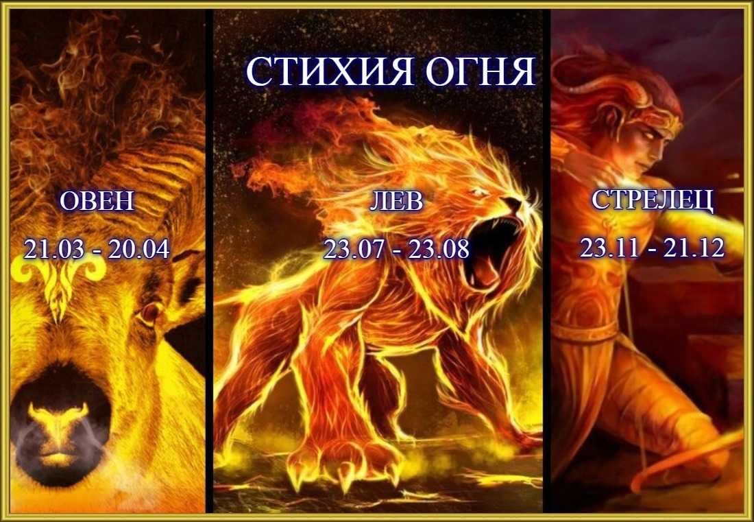 Знак зодиака лев: особенности, сильные и слабые стороны, совместимость