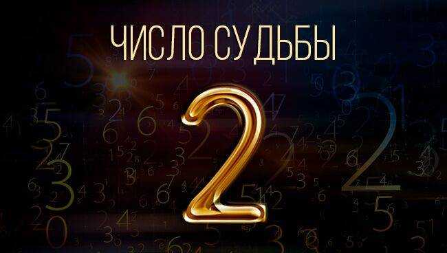 Число судьбы в нумерологии