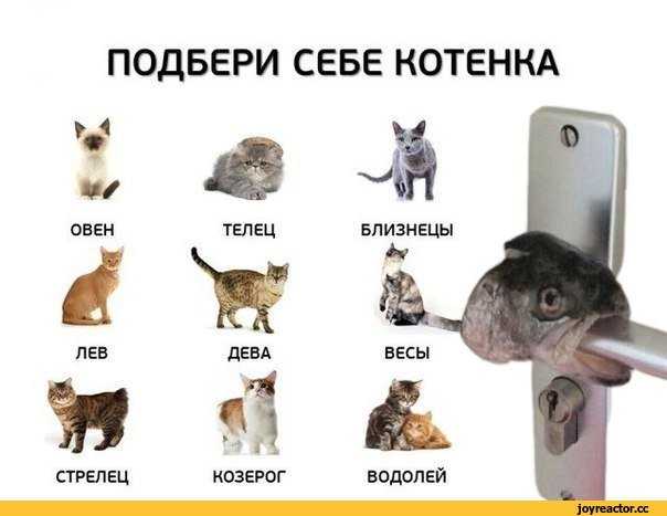 От каких женщин не уходят мужчины: секреты женщин