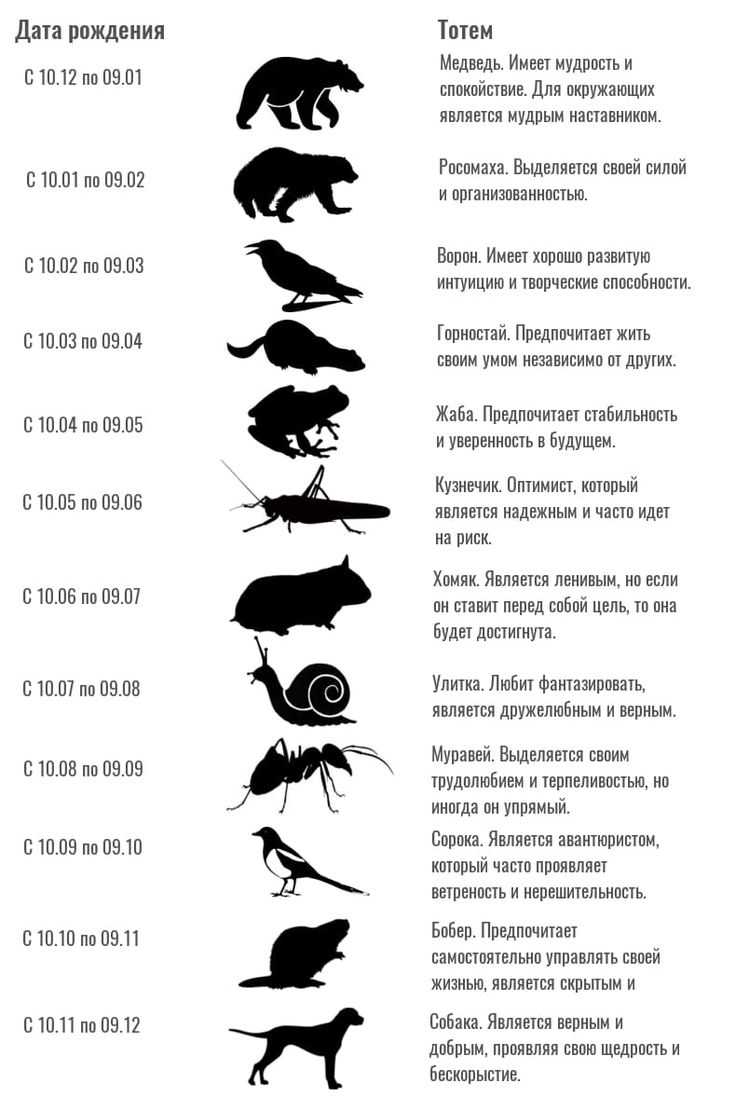 Как разобраться в китайском гороскопе: 13 шагов