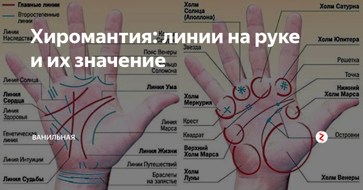 Как научиться читать линии по руке: хиромантия