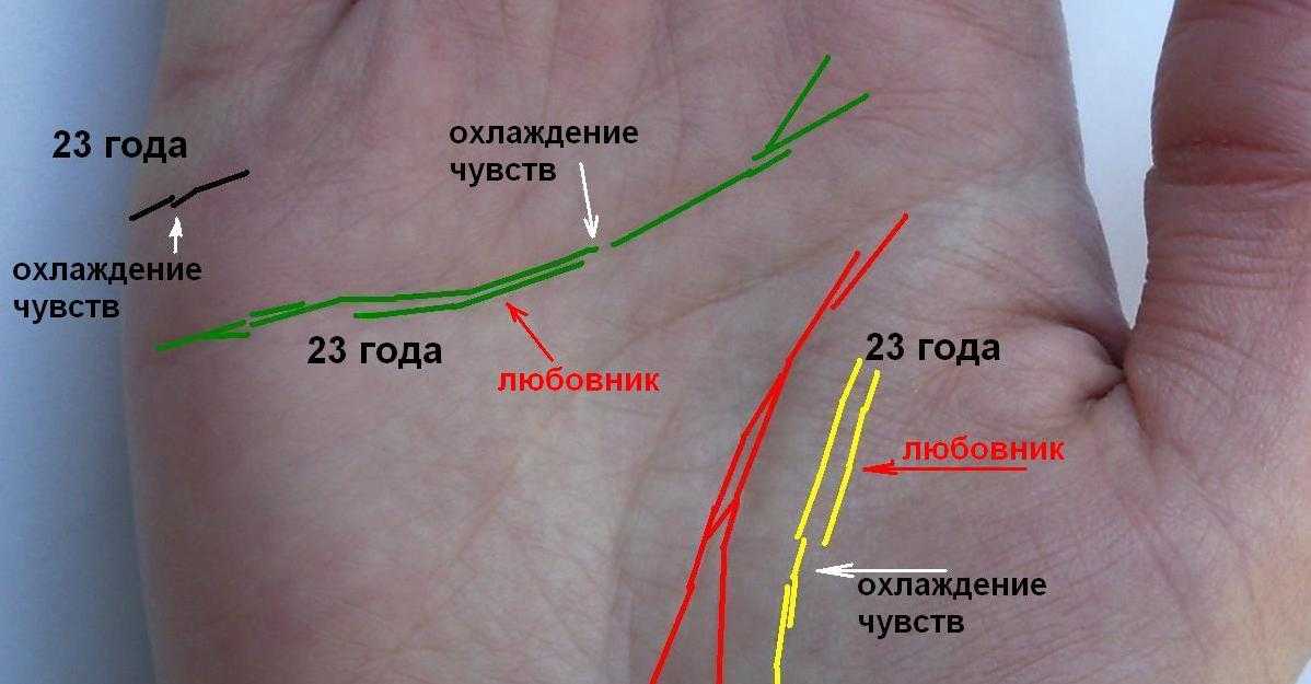 Самые редкие линии на руке в хиромантии