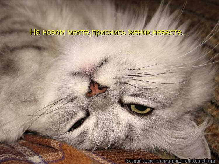 Гадание на новом месте