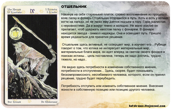 Таро белых кошек - обзор и описание колоды, особенности и уникальность, толкование значений карт - valiriya – школа прикладного таро