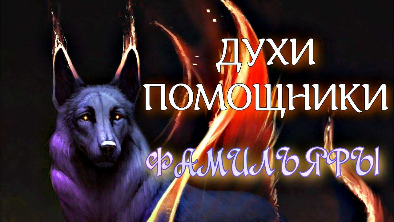 Кошки и магия. как выбрать пушистого барина? - метаисскра