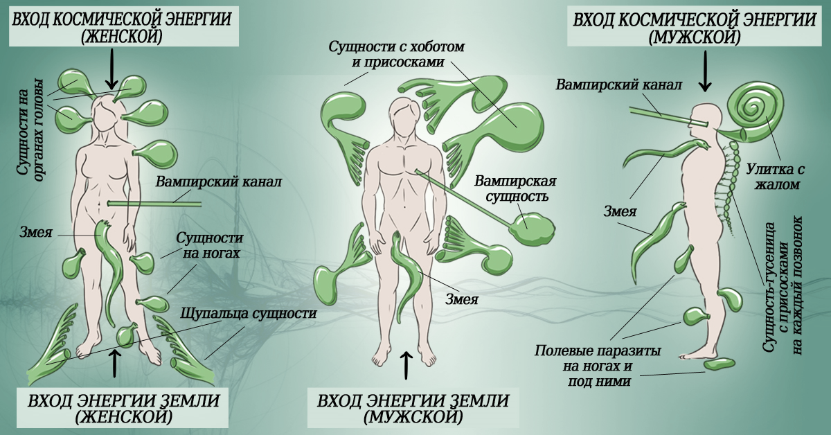 Подселенец: признаки, виды | есть ли у меня подселенец?