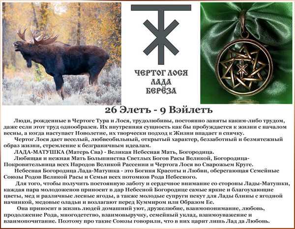 Славянский гороскоп на 2024 год огнегривого коня и тёмного соха