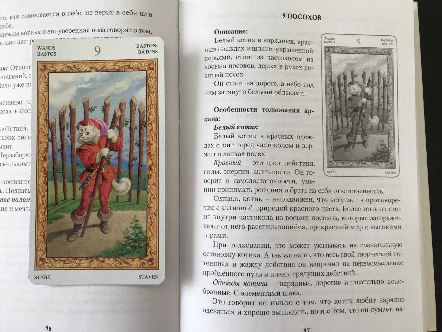 Таро белых кошек. таро белых кошек: расклады и значения карт