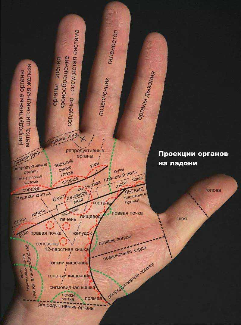 Где находится линия любви на руке: самопознание по хиромантии!