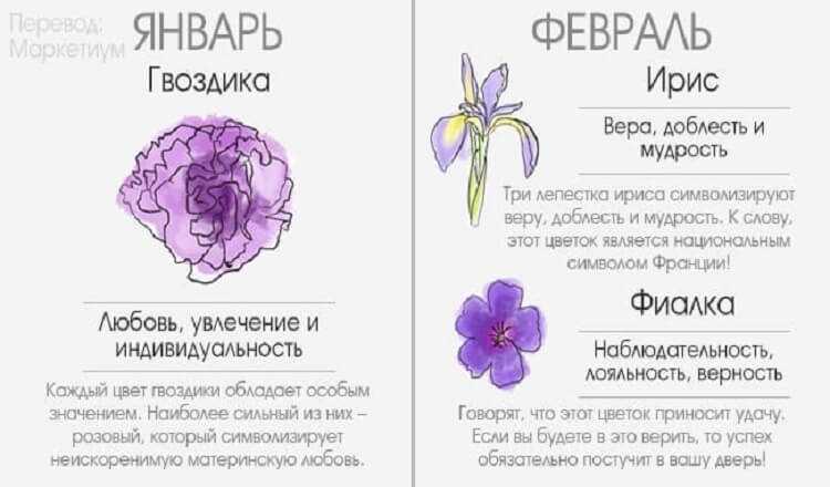 Гороскоп по цветам: по знаку зодиака и друидский