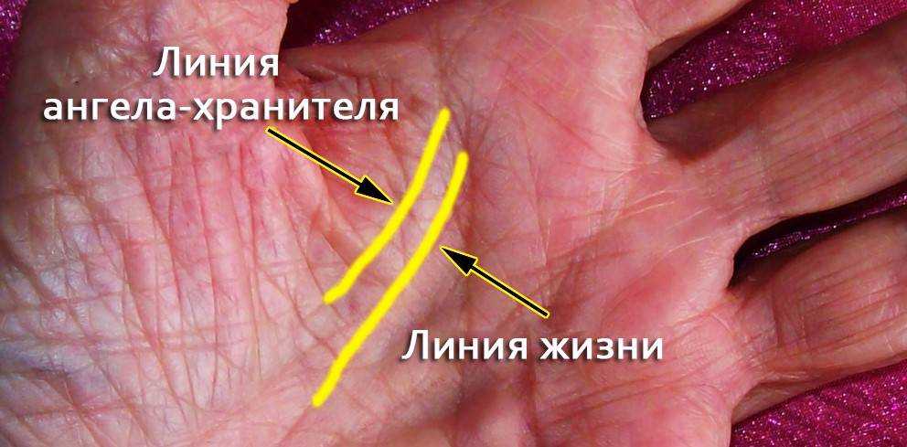 Линия ангела хранителя (марса) на руке