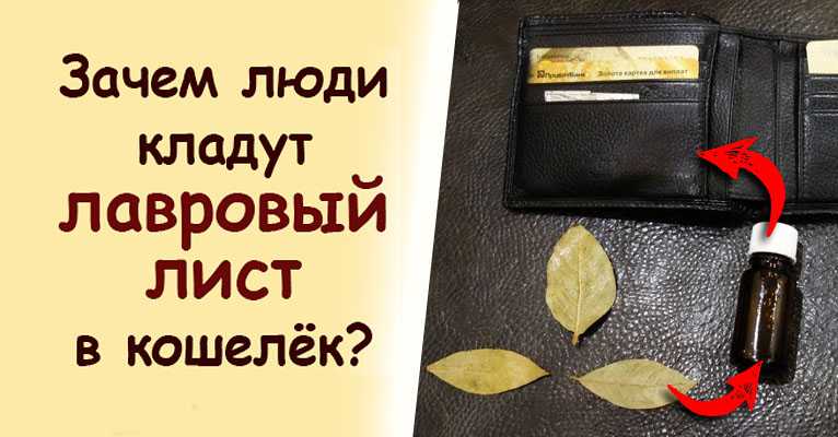 Лавровый лист в кошельке - самый мощный денежный магнит – счастливая женщина